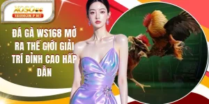 Đá Gà XOSO66 Đỉnh Cao Với Những Trận Đấu Nghẹt Thở - kopg