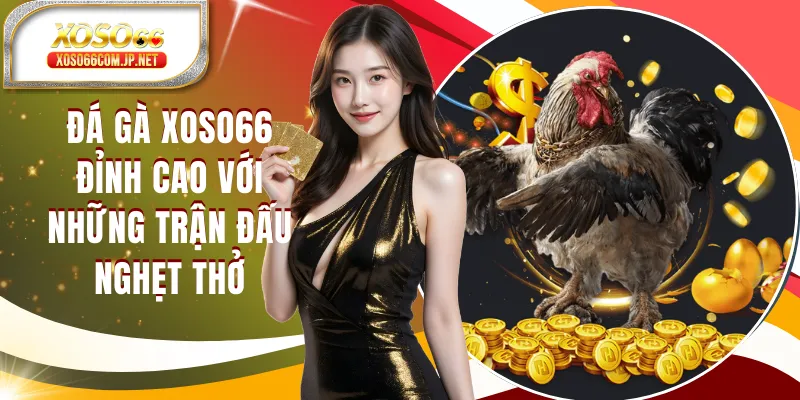 Đá Gà XOSO66 Đỉnh Cao Với Những Trận Đấu Nghẹt Thở - kopg