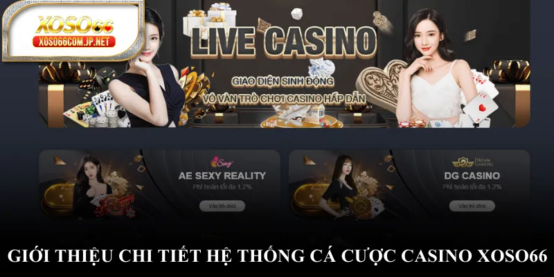 Casino XOSO66 - Sảnh Cược Đỉnh Cao Nhất Châu Á - kopg Casino XOSO66 - Sảnh Cược Đỉnh Cao Nhất Châu Á - kopg