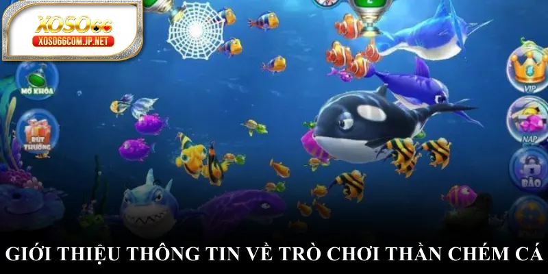 Thần Chém Cá - Bắn Cá Online Tỷ Lệ Thưởng Cao - kopg Thần Chém Cá - Bắn Cá Online Tỷ Lệ Thưởng Cao - kopg