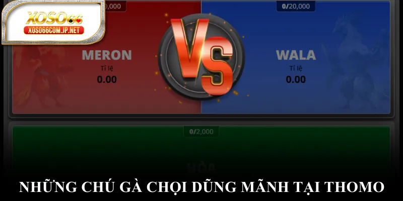 Đá Gà XOSO66 Đỉnh Cao Với Những Trận Đấu Nghẹt Thở - kopg