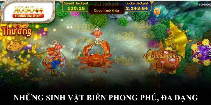 Câu Cá JackPot - Hành Trình Săn Tìm Kho Báu Đại Dương - kopg Câu Cá JackPot - Hành Trình Săn Tìm Kho Báu Đại Dương - kopg
