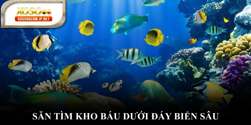 Nổ Hũ XOSO66 - Chinh Phục Kho Báu Khổng Lồ Hấp Dẫn - kopg Nổ Hũ XOSO66 - Chinh Phục Kho Báu Khổng Lồ Hấp Dẫn - kopg