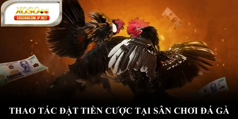 Đá Gà WS168 Mở Ra Thế Giới Giải Trí Có 1-0-2 - kopg Đá Gà WS168 Mở Ra Thế Giới Giải Trí Có 1-0-2 - kopg
