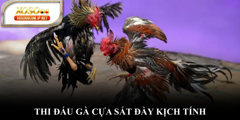 Đá Gà WS168 Mở Ra Thế Giới Giải Trí Có 1-0-2 - kopg Đá Gà WS168 Mở Ra Thế Giới Giải Trí Có 1-0-2 - kopg