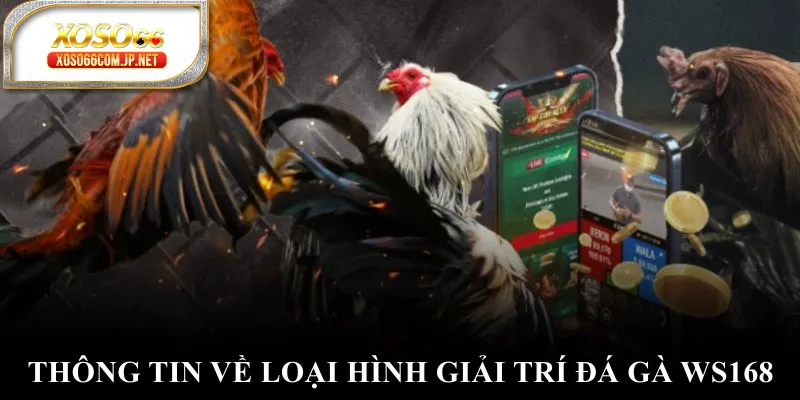 Đá Gà WS168 Mở Ra Thế Giới Giải Trí Có 1-0-2 - kopg Đá Gà WS168 Mở Ra Thế Giới Giải Trí Có 1-0-2 - kopg