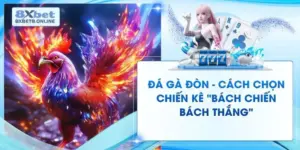 Tin Tức 8XBet | Cập Nhật Nhanh Chóng 24/7 Tin Mới Nhất - kopg