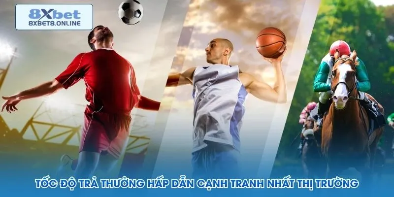 Thể Thao SABA 8XBET - Hệ Thống Cá Cược Uy Tín Top 1 - kopg