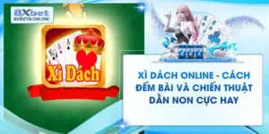 Tin Tức 8XBet | Cập Nhật Nhanh Chóng 24/7 Tin Mới Nhất - kopg