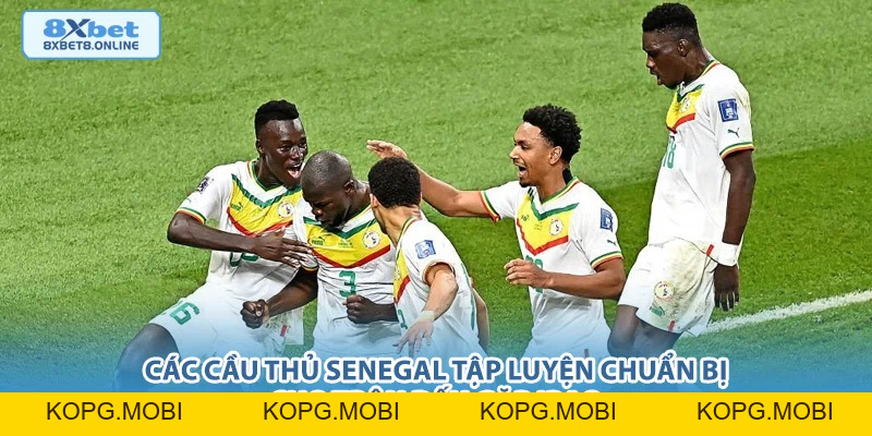 Nhận Định Senegal vs Iraq: Sức Mạnh Châu Phi Đối Đầu Bản Lĩnh Tây Á Tại World Cup 2026 - kopg