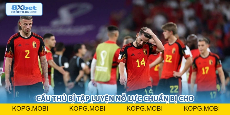 Nhận định New Zealand vs Bỉ: Chênh lệch đẳng cấp tại World Cup 2026 - kopg