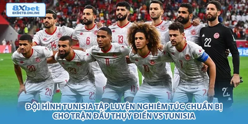 Nhận định Thụy Điển vs Tunisia: Đại chiến phong cách tại World Cup 2026 - kopg