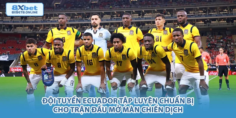 Nhận Định Ecuador vs Curaçao: Sức Mạnh Nam Mỹ Đối Đầu Làn Gió Mới Caribbean - kopg