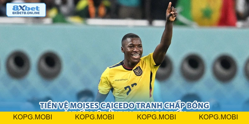 Nhận định Bờ Biển Ngà vs Ecuador: Rực lửa sắc màu châu Phi và Nam Mỹ tại World Cup 2026 - kopg